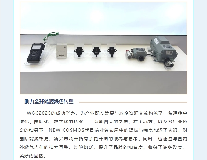 賦能可持續(xù)未來(lái)！熱烈慶賀新宇宙集團(tuán)WGC2025參會(huì)圓滿成功！(圖8)